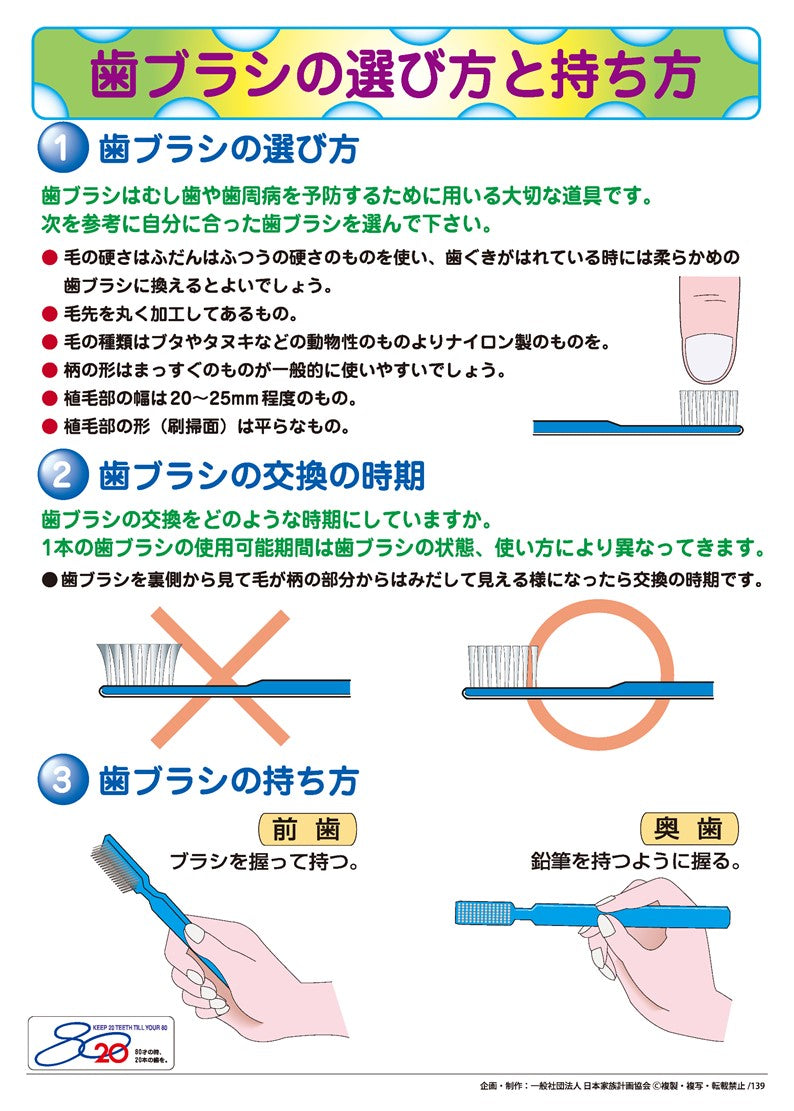 歯ブラシの選び方と持ち方 – JFPA®オンラインショップ