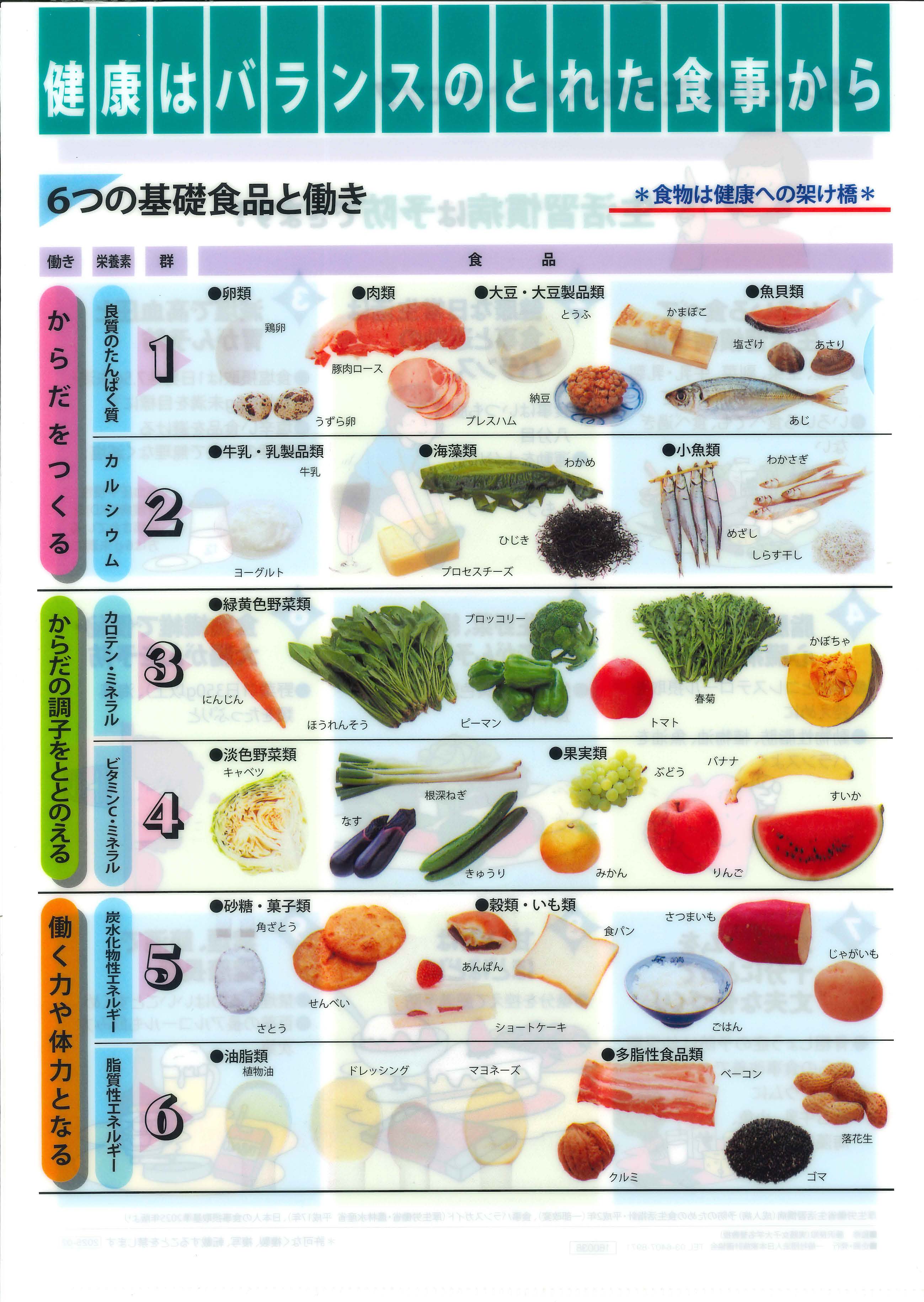 【中古】 健康家族の食事と体づくり2版 69660-87-
