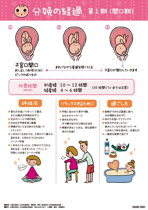 分娩の経過 第1期（開口期） 文字多めver – JFPA®オンラインショップ