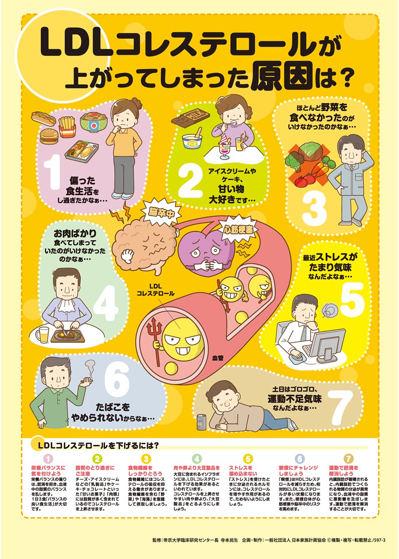 ldl コレステロール 高い 原因