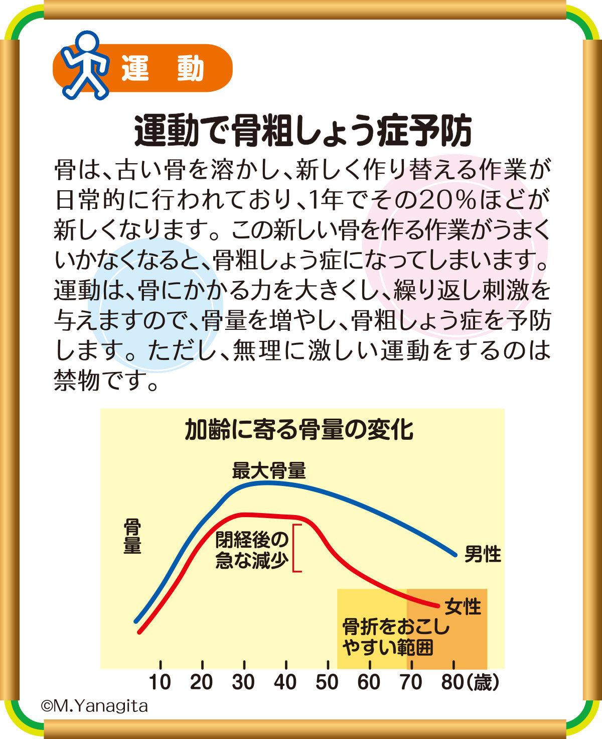 【中古】 骨粗しょう症 防ぎ方・治し方/家の光協会 maxresdefault.jpg