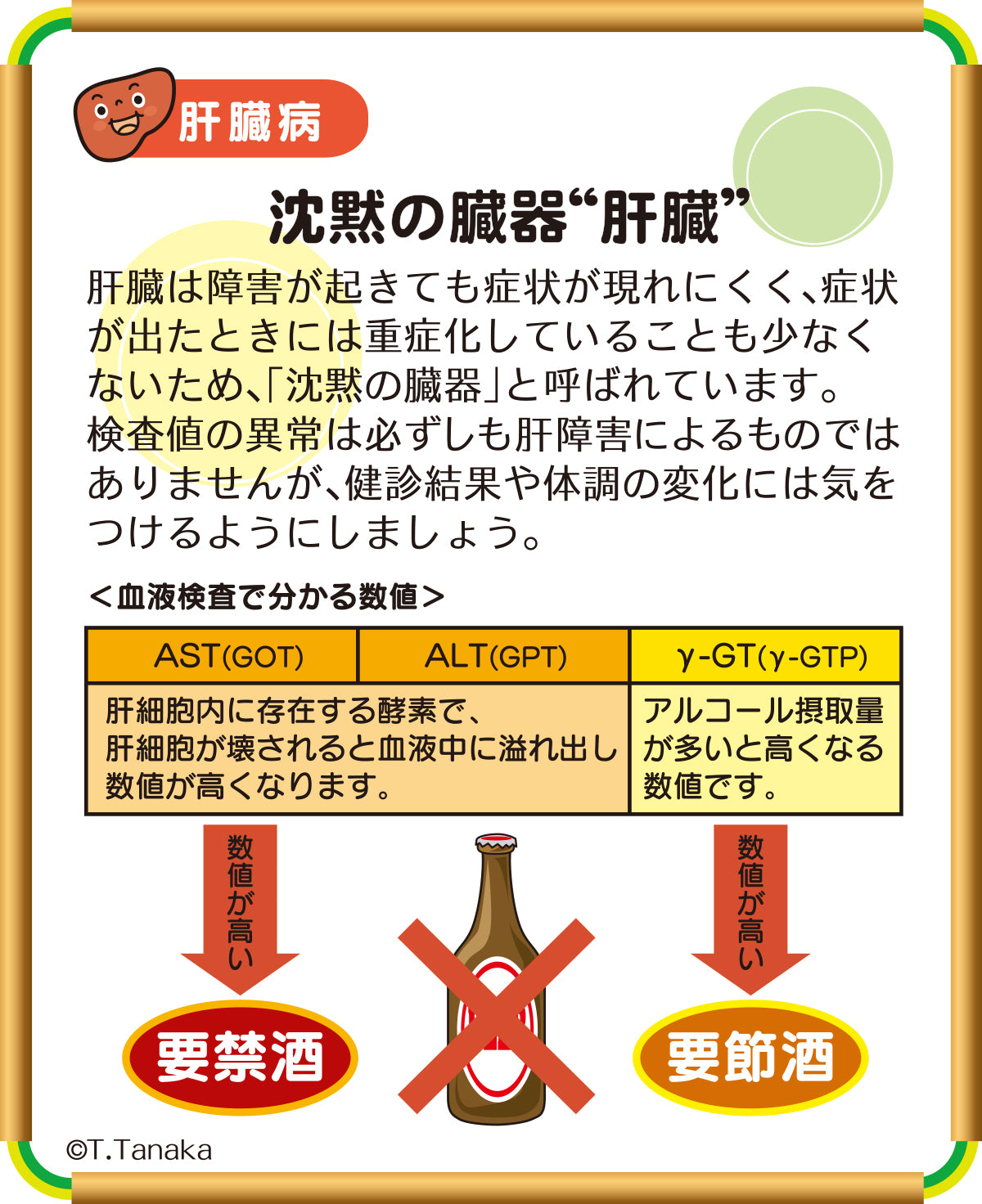 B-211 沈黙の臓器“肝臓” – JFPA®オンラインショップ