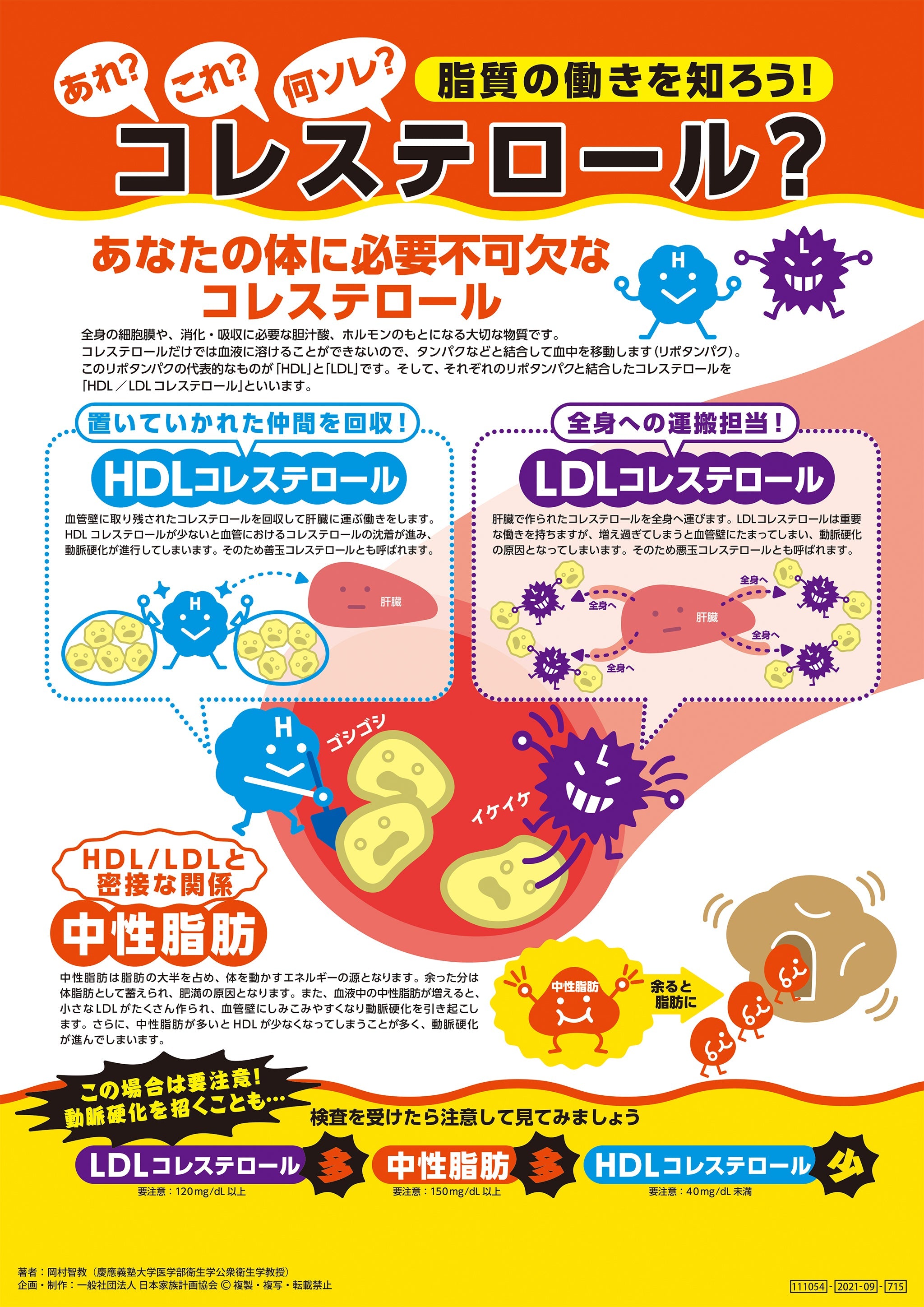 あれ？これ？何ソレ？ コレステロール？ – JFPA®オンラインショップ