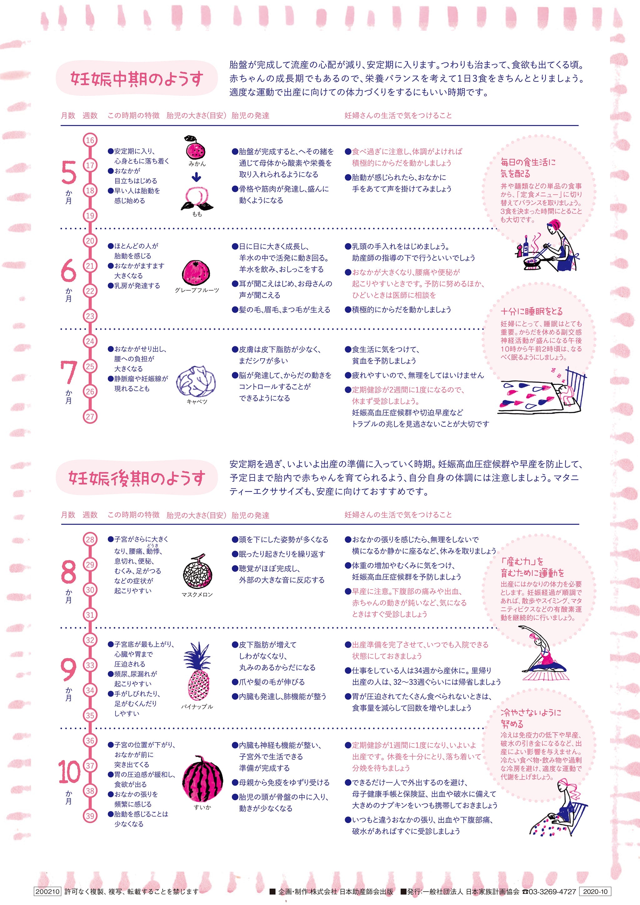 妊娠中の日常生活と胎児の発達 – JFPA®オンラインショップ
